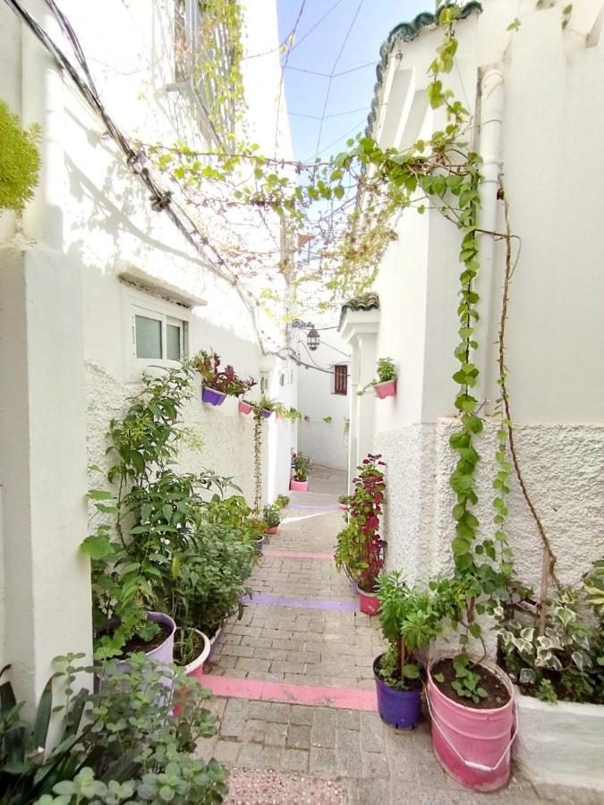 Maison Medina, Terrasse Panoramique, Vue Mer Tanger Exteriör bild