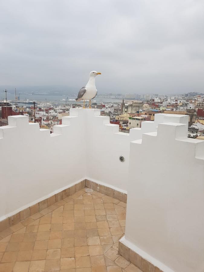Maison Medina, Terrasse Panoramique, Vue Mer Tanger Exteriör bild